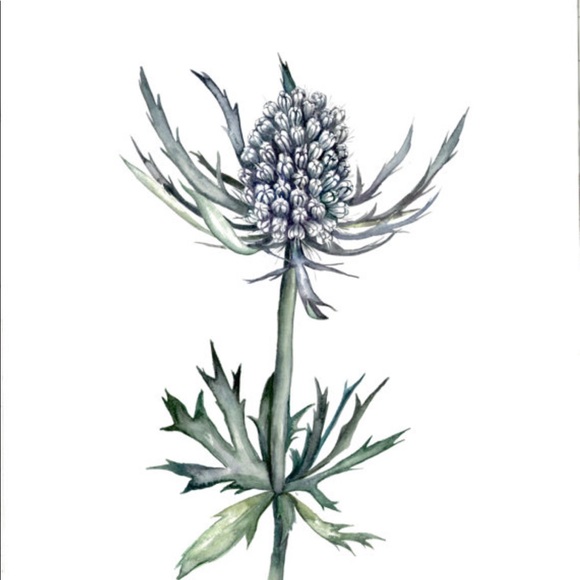 Meet your Posher, Lyndon - Picture 1 of 1